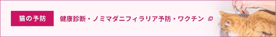 猫の予防
